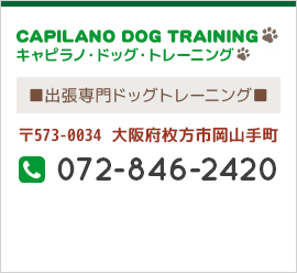家庭犬しつけ訓練キャピラノ･ドッグ･トレーニング