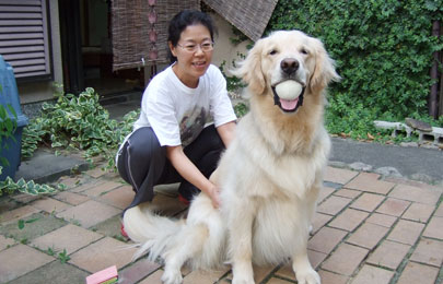 家庭犬しつけ訓練キャピラノ･ドッグ･トレーニングアイビーくん